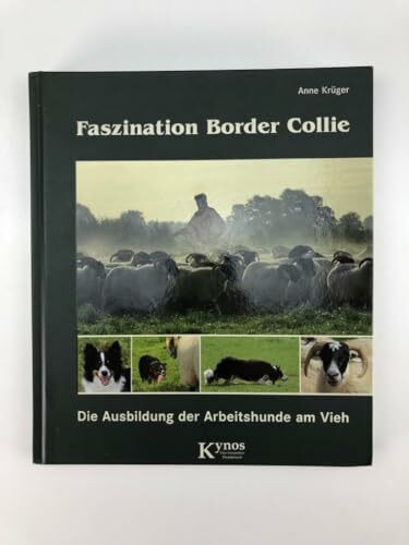 Faszination Border Collie: Die Ausbildung der Arbeitshunde am Vieh (Das besondere Hundebuch)