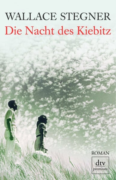 Die Nacht des Kiebitz: Roman (dtv premium)