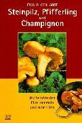 Steinpilz, Pfifferlinge und Champignon: Die beliebtesten Pilze sammeln und zubereiten