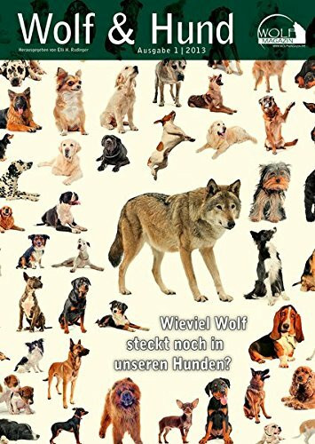 Wolf Magazin: Wolf & Hund: Wieviel Wolf steckt noch in unseren Hunden? (edition tieger)