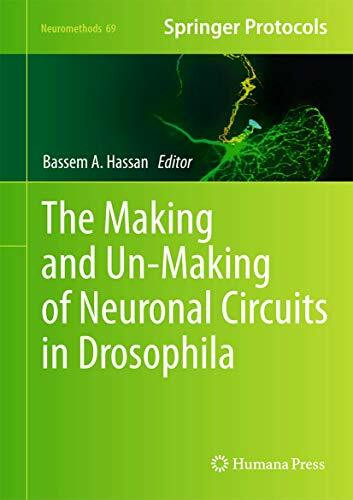 The Making and Un-Making of Neuronal Circuits in Drosophila (Neuromethods, 69, Band 69)