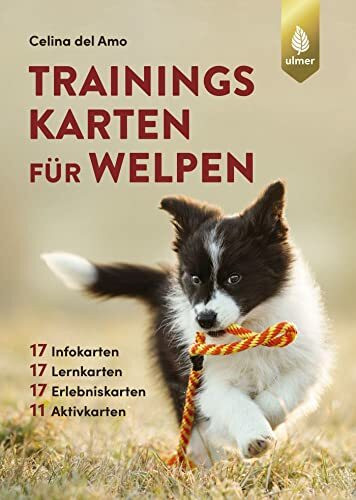Trainingskarten für Welpen