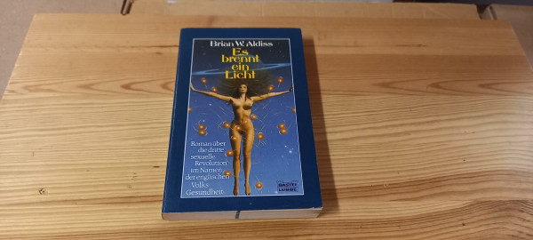 Es brennt ein Licht (Allgemeine Reihe. Bastei Lübbe Taschenbücher)