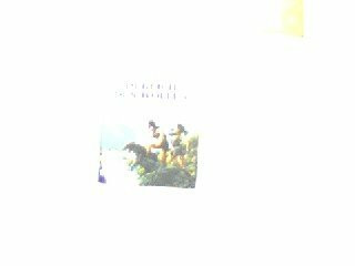 Im Reich des Wolfes: Die Drenai-Saga, Bd. 5 (Fantasy. Bastei Lübbe Taschenbücher)