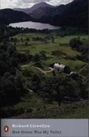 How Green Was My Valley