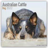 Australian Cattle Dogs - Australische Cattle Dogs 2022 - 18-Monatskalender mit freier DogDays-App