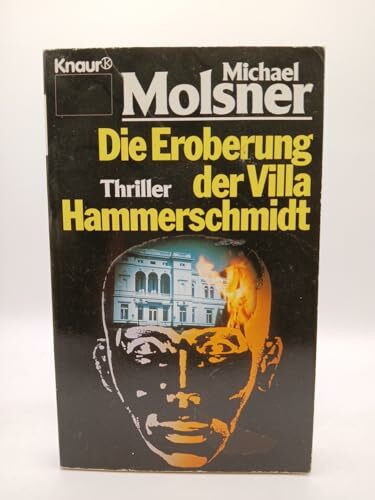 Die Eroberung der Villa Hammerschmidt (Knaur Taschenbücher. Romane, Erzählungen)