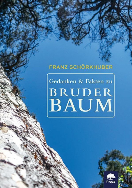 Gedanken und Fakten zu Bruder Baum