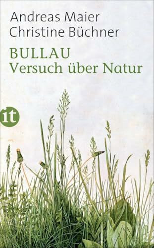 Bullau: Versuch über Natur (insel taschenbuch)