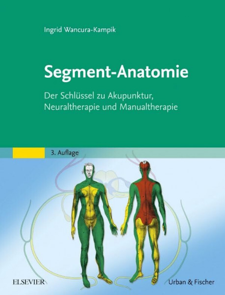 Segment-Anatomie: Der Schlüssel zu Akupunktur, Neuraltherapie und Manualtherapie