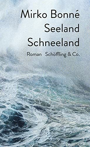 Seeland Schneeland: Roman