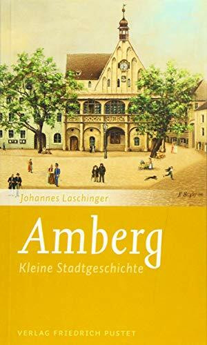 Amberg: Kleine Stadtgeschichte (Kleine Stadtgeschichten)