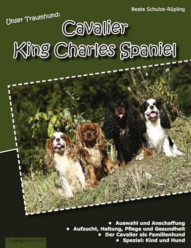Unser Traumhund: Cavalier King Charles Spaniel