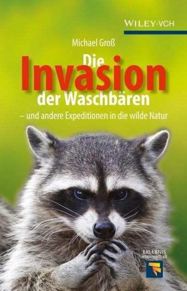 Invasion der Waschbären