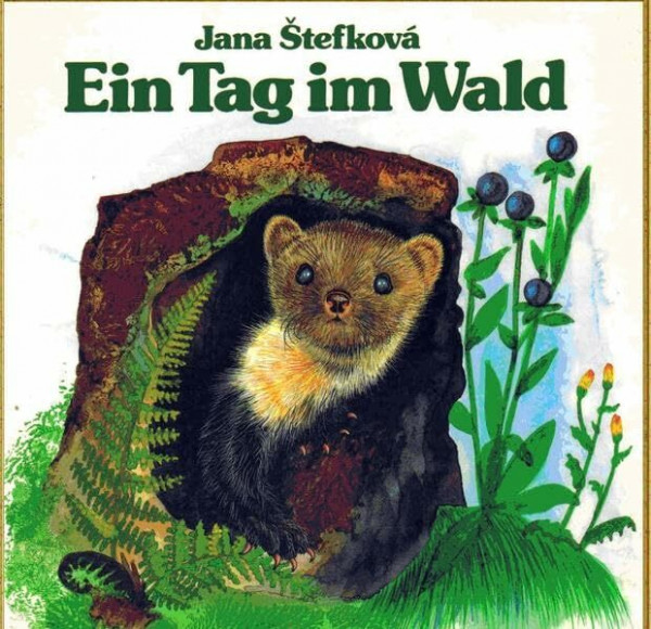 Ein Tag im Wald: Bilderbuch vom Wald und seine Tiere