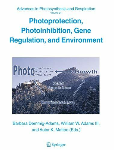 Photoprotection, Photoinhibition, Gene Regulation, and Environment (Advances in Photosynthesis and Respiration, 21, Band 21)