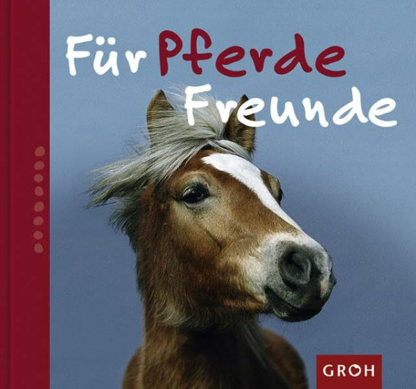 Für Pferdefreunde (Zeit für Freunde)