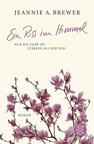 Ein Riss im Himmel: Roman