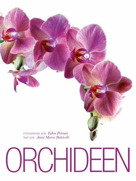 Orchideen