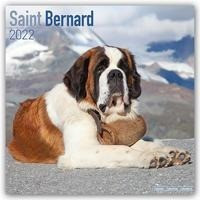 Saint Bernards - Bernhardiner 2022 - 18-Monatskalender mit freier DogDays-App