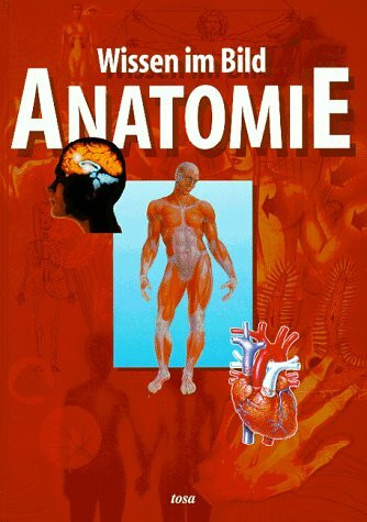 Anatomie