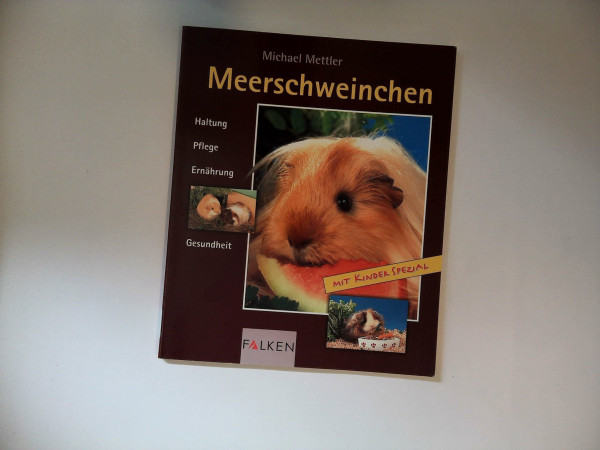 Meerschweinchen