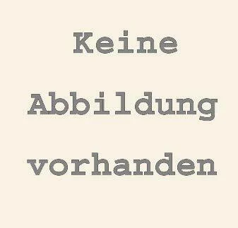 Formale Sprache und Erfahrung: Carnap als Modellfall (problemata)