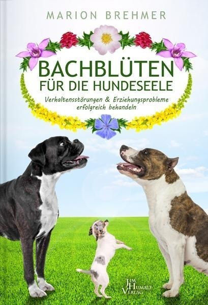 Bachblüten für die Hundeseele