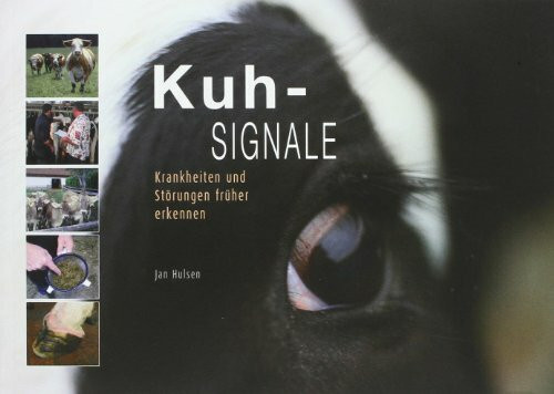 Kuhsignale: Krankheiten und Störungen früher erkennen