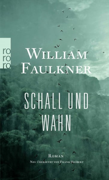 Schall und Wahn: Roman