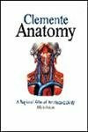 Anatomy: A Regional Atlas of the Human Body