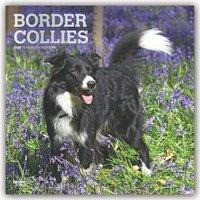 Border Collies 2020 - 18-Monatskalender mit freier DogDays-App