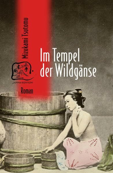 Im Tempel der Wildgänse: Roman (Japan-Edition)