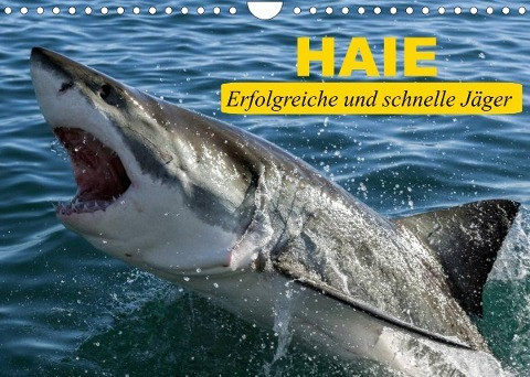 Haie. Erfolgreiche und schnelle Jäger (Wandkalender 2022 DIN A4 quer)