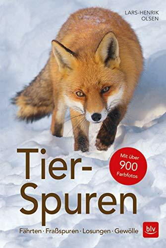 Tier-Spuren: Fährten | Fraßspuren | Losungen | Gewölle (BLV Naturführer)
