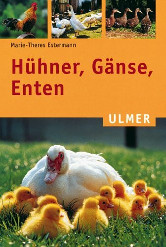 Hühner, Gänse, Enten