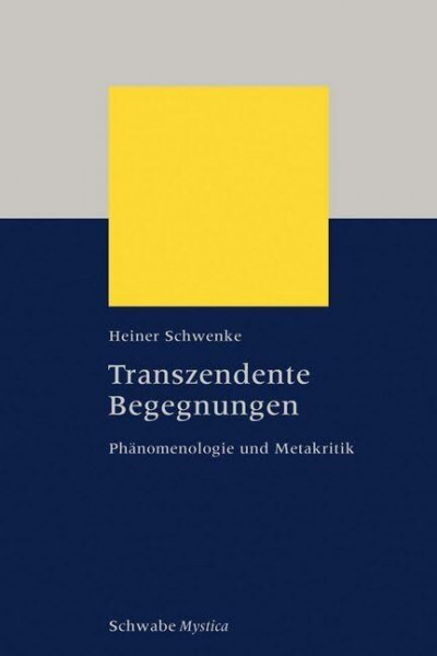 Transzendente Begegnungen: Phänomenologie und Metakritik