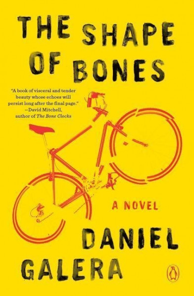 The Shape Of Bones