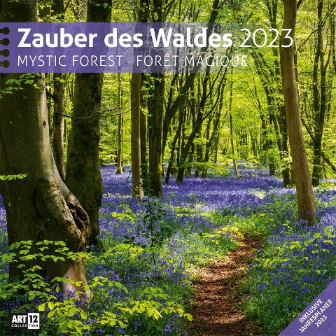 Zauber des Waldes Kalender 2023 - 30x30