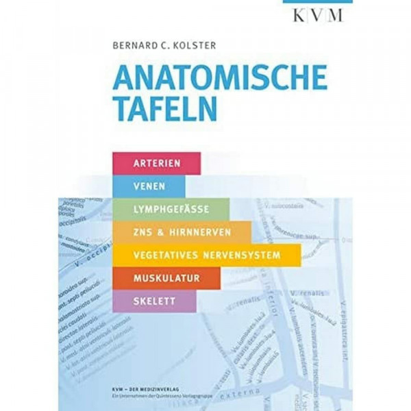 Anatomische Tafeln: Arterien, Venen, Lymphgefäße, ZNS und Hirnnerven, Vegetatives Nervensystem, Muskulatur, Skelett