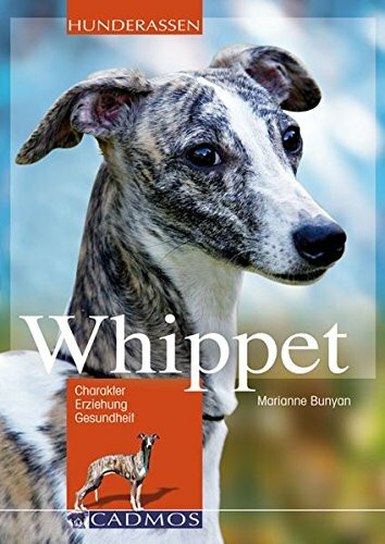 Whippet: Charakter, Erziehung und Gesundheit (Cadmos Hunderassen)