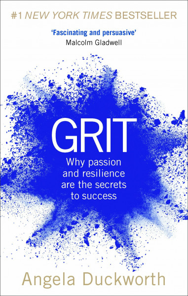 Grit: Why Passion and Resilience Are the Secrets to Success – The New York Times Bestseller (Vermilion)