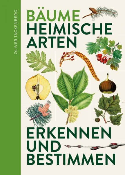 Bäume: Heimische Baumarten erkennen & bestimmen