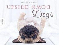 Upside-Down Dogs