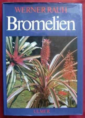 Bromelien. Tillandsien und andere kulturwürdige Bromelien
