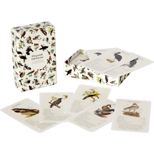 QianShouYan Eulberg Flying Gemstones - A Bird Quartet by Dominik