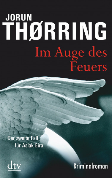 Im Auge des Feuers: Kriminalroman (dtv Fortsetzungsnummer 20)