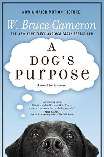 Forge A Dog's Purpose, A Novel For Humans