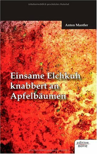 Einsame Elchkuh knabbert an Apfelbaumen