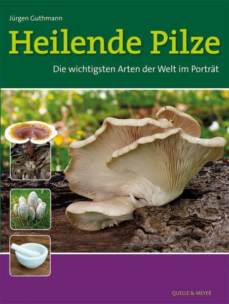 Heilende Pilze: Die wichtigsten Arten der Welt im Porträt